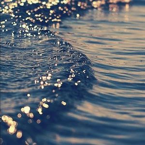 Meet your Posher, Sidney